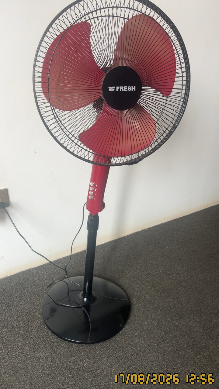 Fan