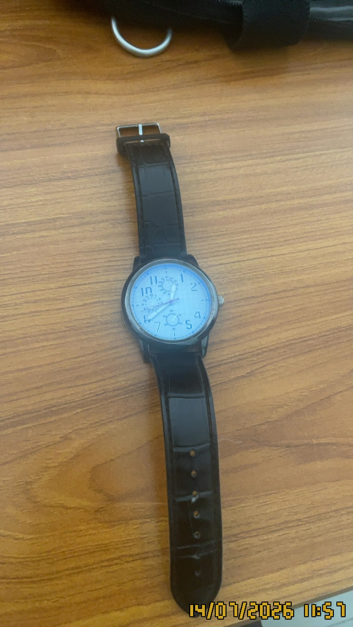 Lorex watch